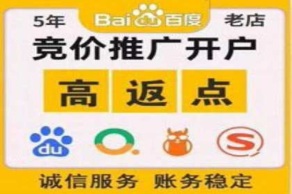 百度推广返点攻略：成功案例分享与启示